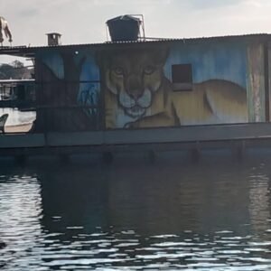 Batelão Onça-Pintada